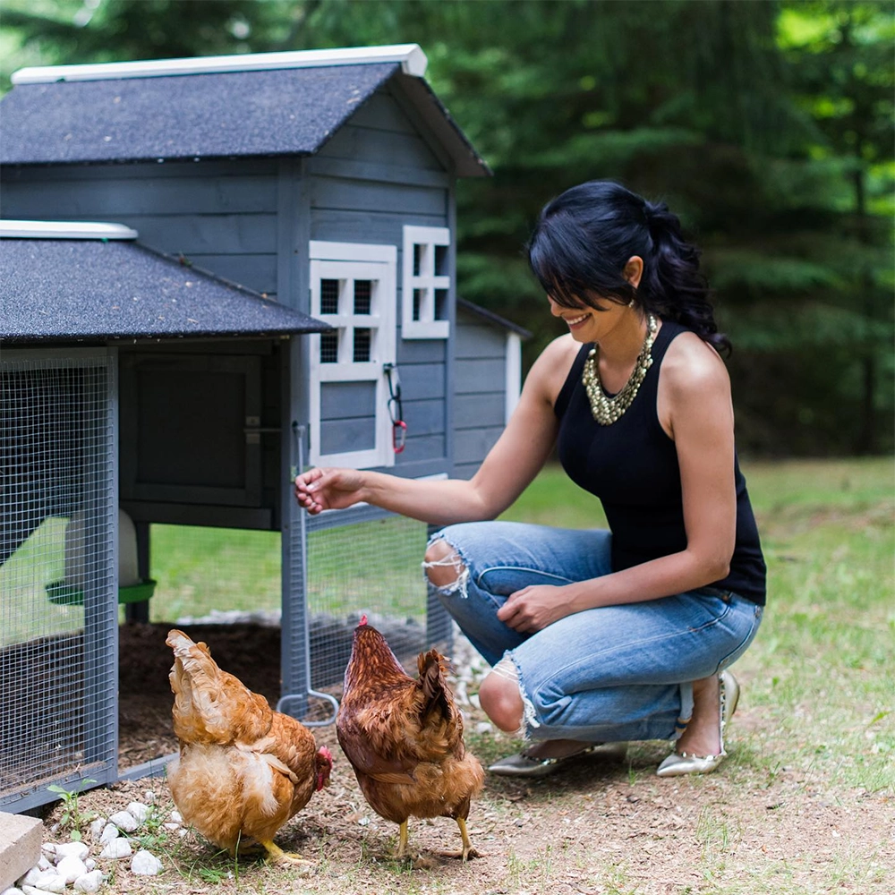 Farm Fairy Foundation